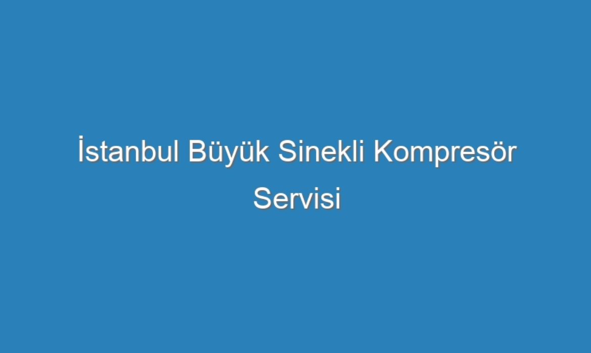 İstanbul Büyük Sinekli Kompresör Servisi