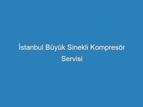 İstanbul Büyük Sinekli Kompresör Servisi