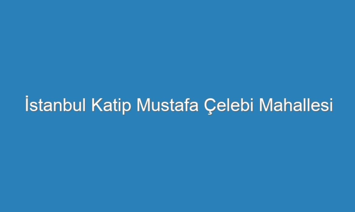 İstanbul Katip Mustafa Çelebi Mahallesi Kompresör Servisi