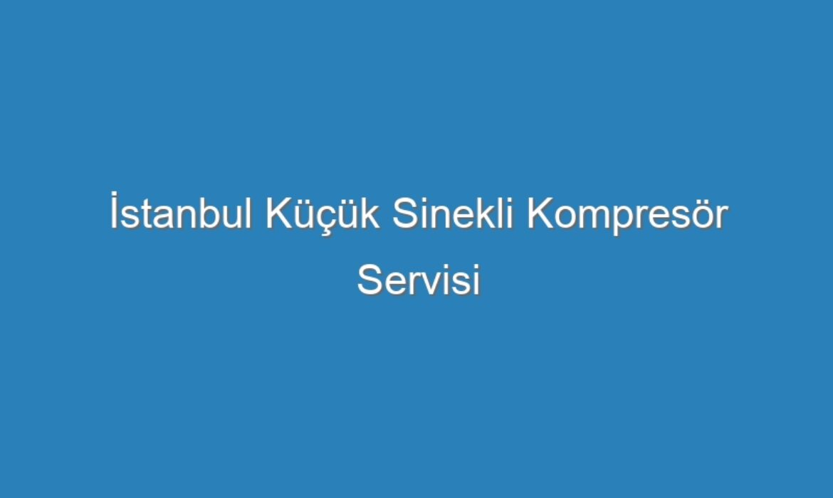 İstanbul Küçük Sinekli Kompresör Servisi